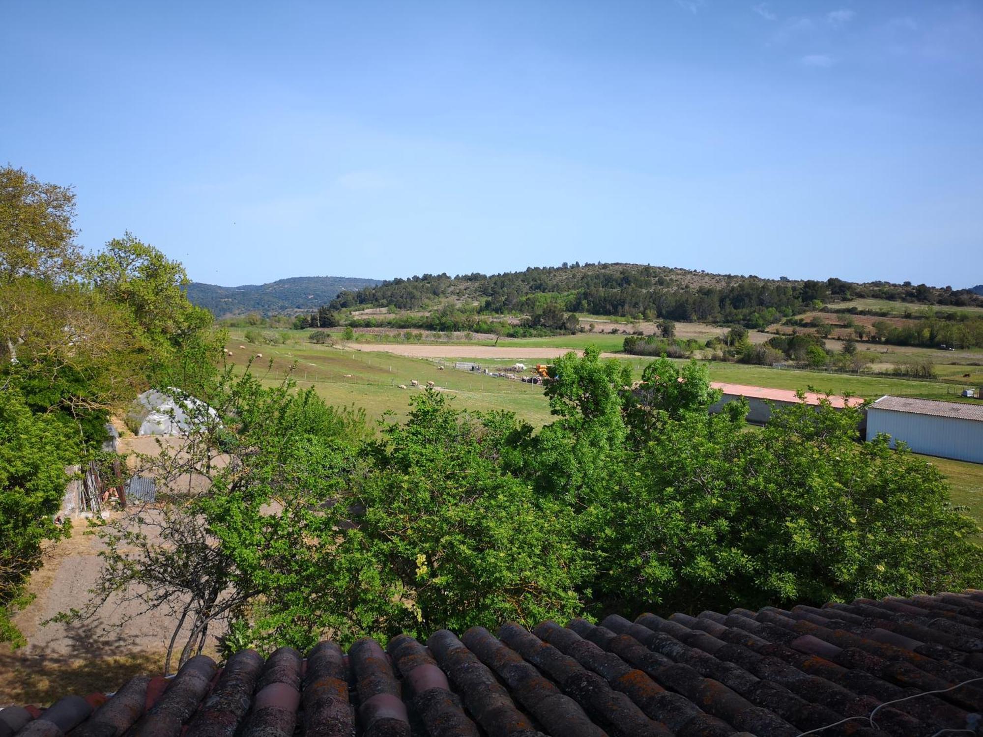 L'Ours Des Corbieres - Chambres D'Hotes Servies-en-Val 객실 사진